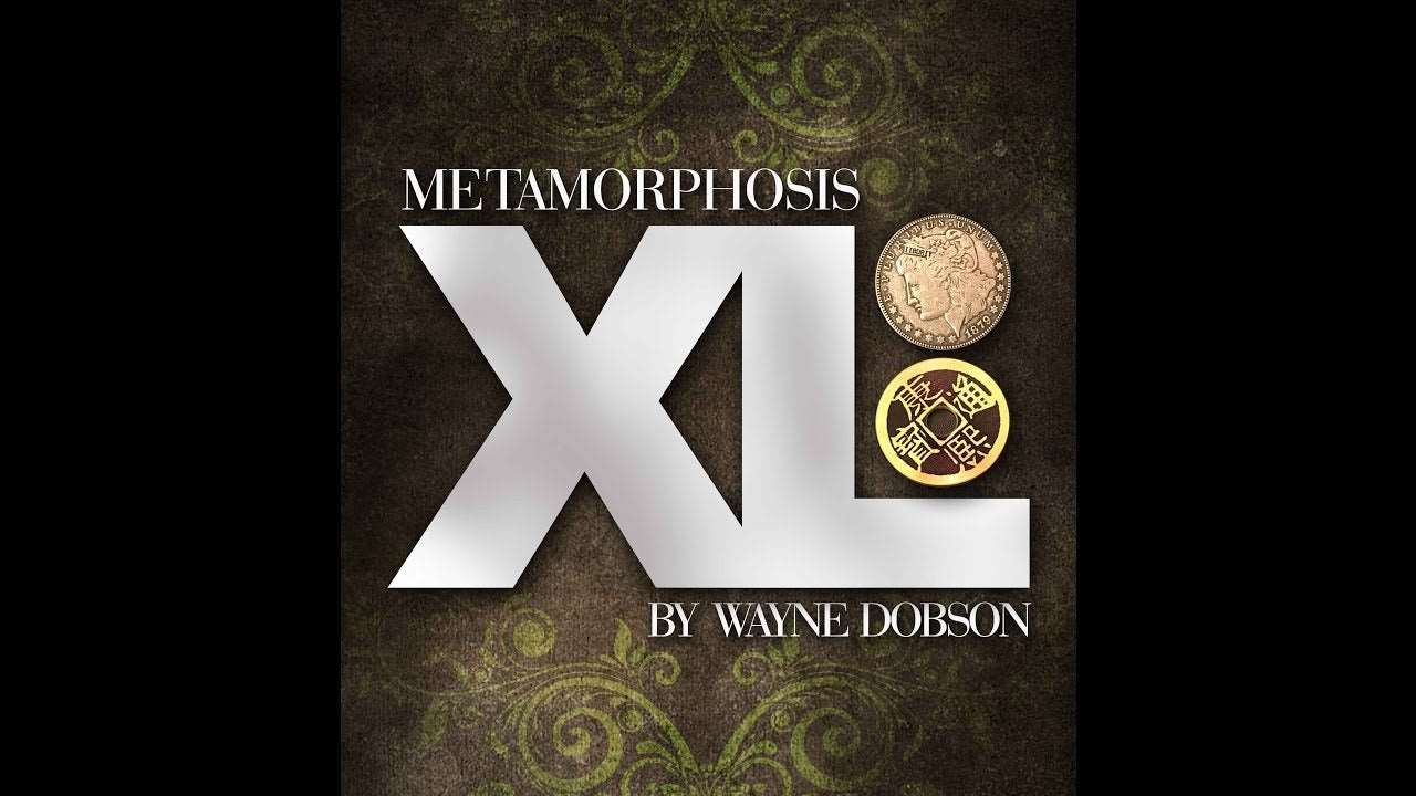 Metamorphosis XL by Wayne Dobson
