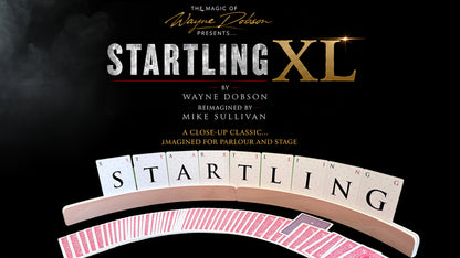 Starling XL by Wayne Dobson